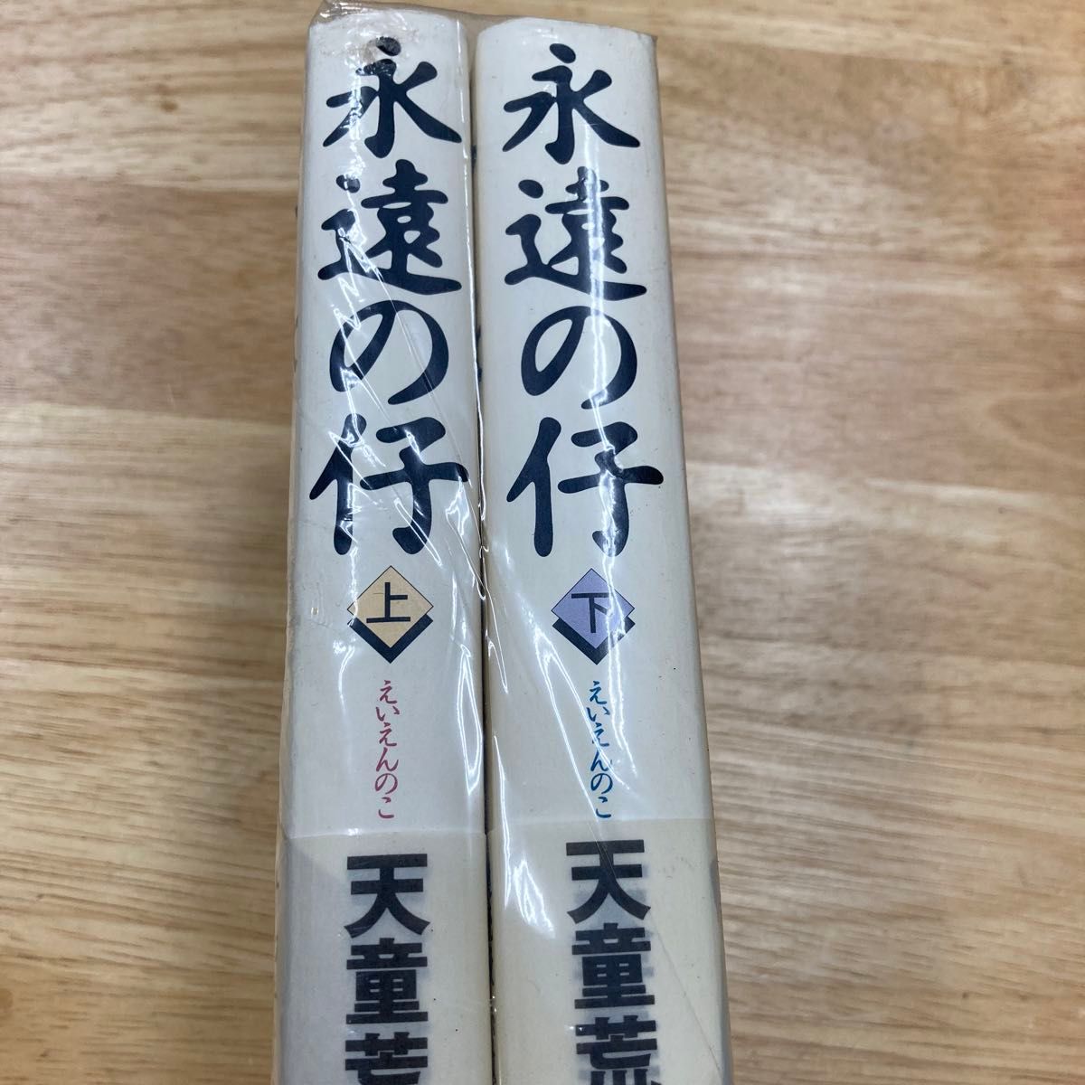 永遠の仔　上下セット 天童荒太／著