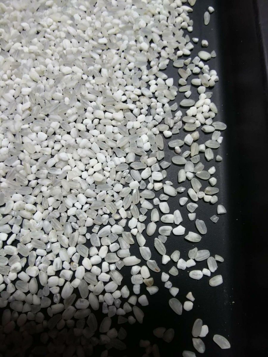 砕米 折れ米 20kg 飼料用米 令和5年産 日本米100% 鳥のエサ 砕米 折れ米 20kg 飼料用米 令和5年産 日本米100% 鳥のエサ