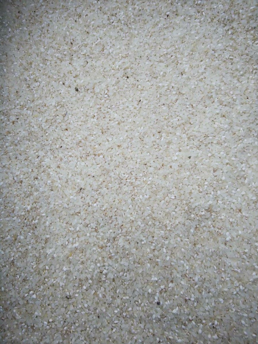 砕米 折れ米 20kg 飼料用米 令和5年産 日本米100% 鳥のエサ 砕米 折れ米 20kg 飼料用米 令和5年産 日本米100% 鳥のエサ