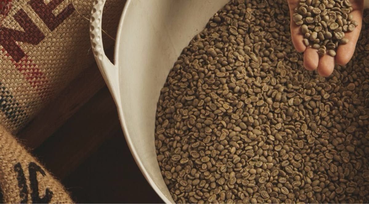 コーヒー 焙煎用 生豆 800g ブラジル セラード高原 完熟アラビカ ナチュラル