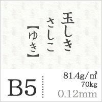 玉しき さしこ 「ゆき」 81.4g/平米 0.12mm B5サイズ：100枚 印刷紙 印刷用紙 松本洋紙店_画像5
