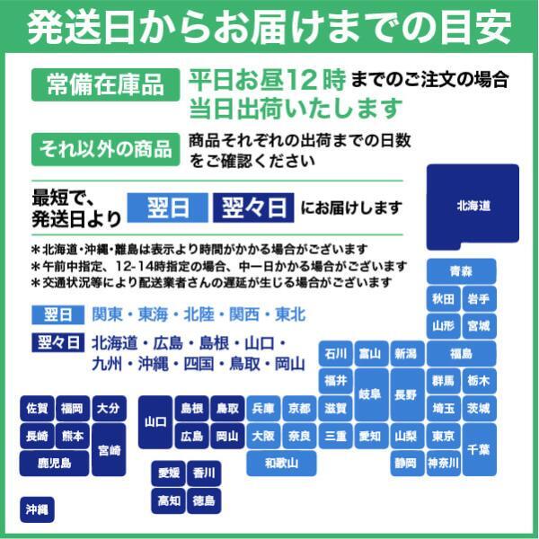 【サンプル 和紙ラベル 金がすみ・銀がすみ 0.23mm A4サイズ：2種類各2枚 計4枚_画像4