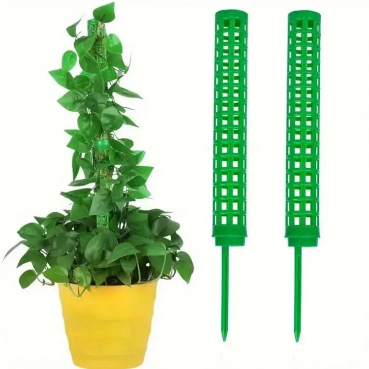 mo sport mine timbering 2 pcs set connection possibility decorative plant monstera .. plant put on raw plant gardening mine timbering plant mine timbering water moss stick [ white ]Z25C02S