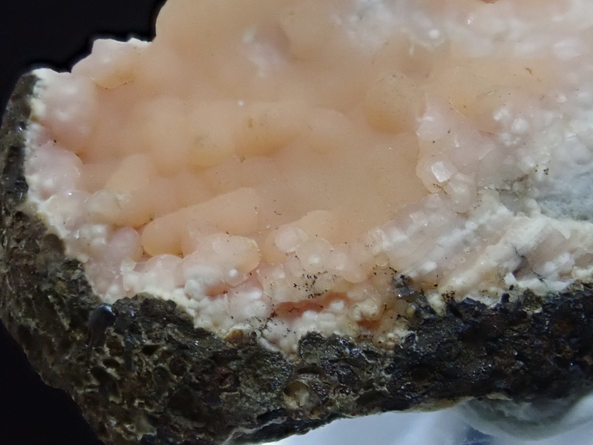 【貝化石中に結晶】ロードクロサイト　菱マンガン鉱　インカローズ　原石　標本_画像5