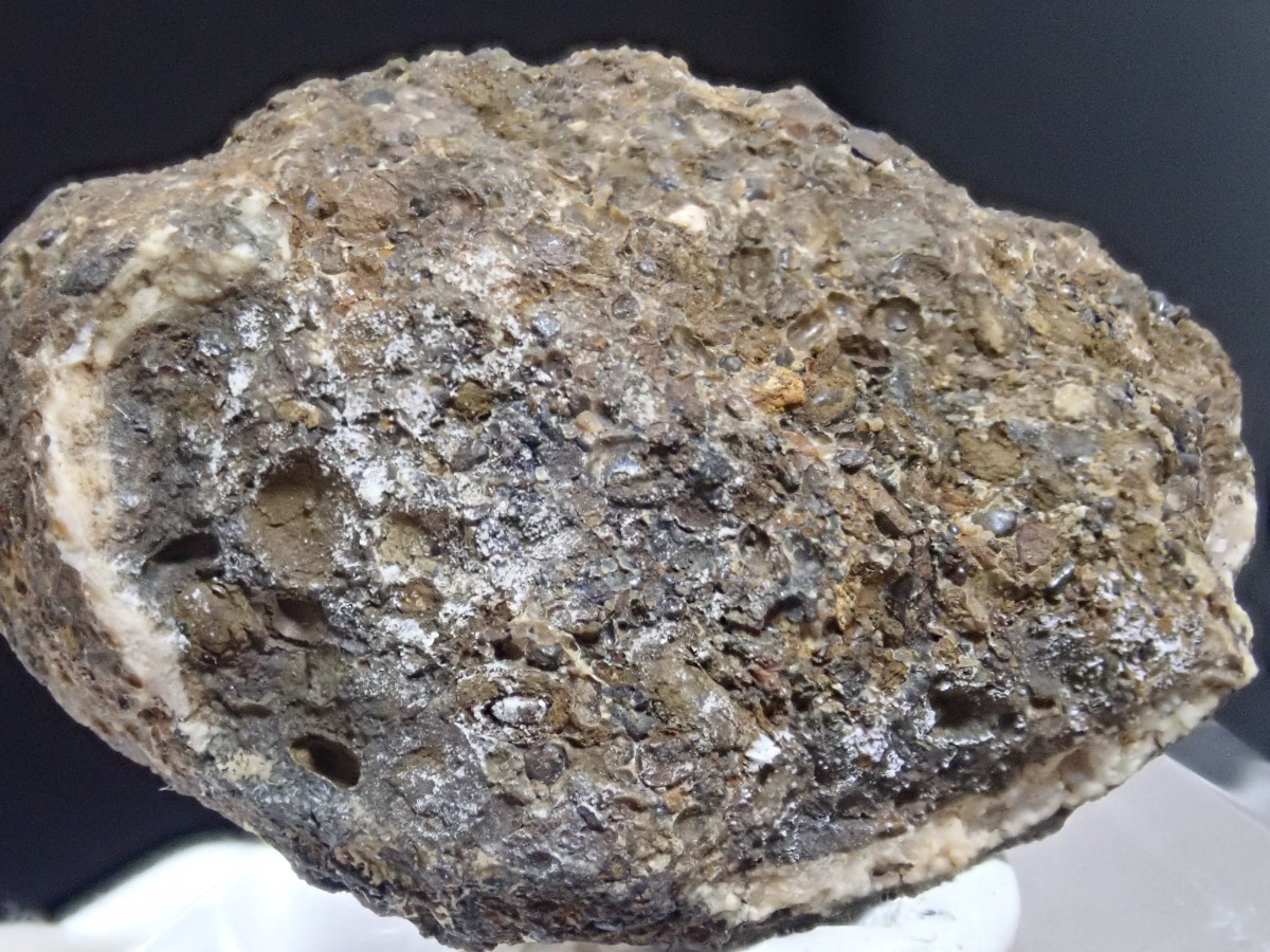 【貝化石中に結晶】ロードクロサイト　菱マンガン鉱　インカローズ　原石　標本_画像4