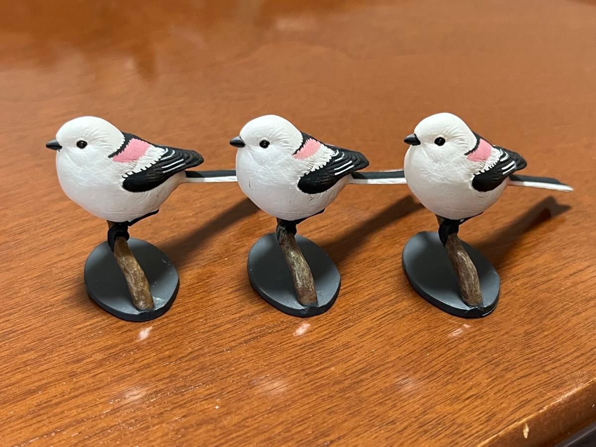 人気新品入荷 チョコQ 第8弾 シマエナガ 3体|Yahoo!フリマ(旧PayPayフリマ) 生き物