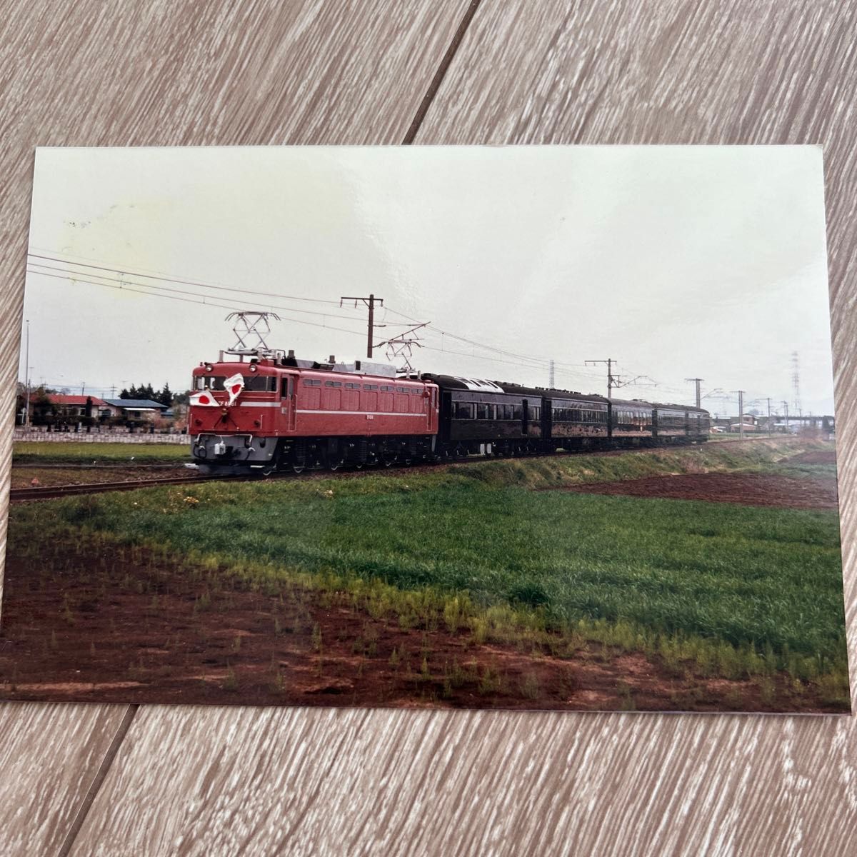 国鉄　EF81形　電気機関車　写真 鉄道写真