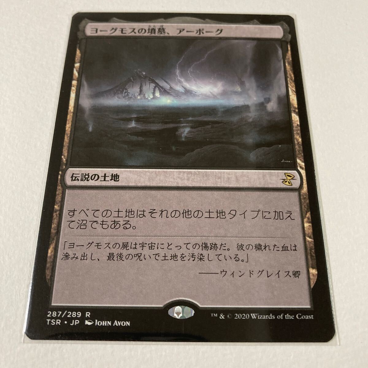 ヨーグモスの墳墓、アーボーグ/日本語/Magic the Gathering/MTG_画像1