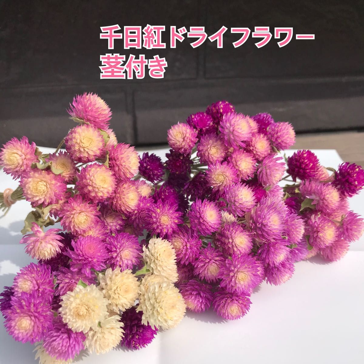 千日紅ドライフラワー　茎付き　花材　リース　スワッグにおすすめ