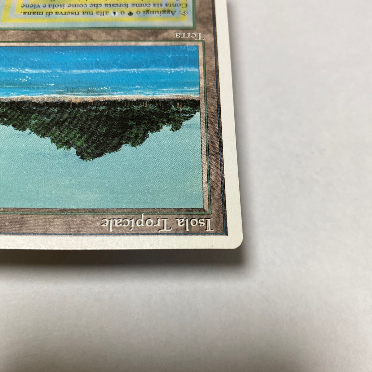 【Dualland】 Tropical Island 3ED イタリア語 1枚 MTG マジックザギャザリング Magic the Gathering カード の画像5