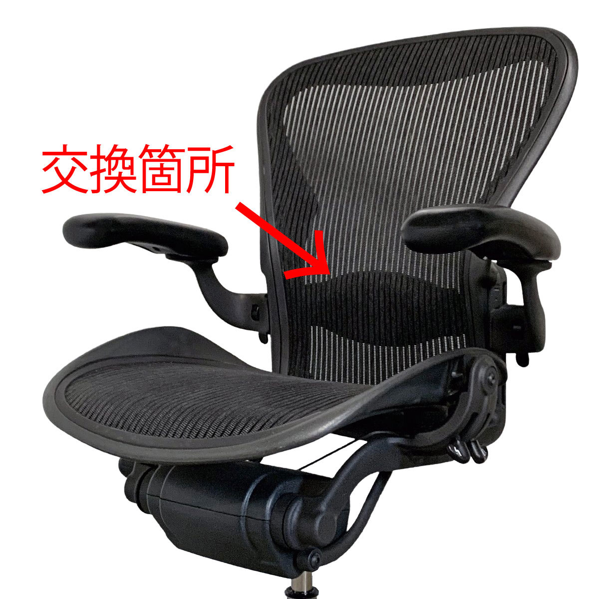 アーロンチェア ランバーサポート 互換品 ハーマンミラー チェア Bタイプ Aeron Chair 椅子 イス クッション 交換 部品の画像7