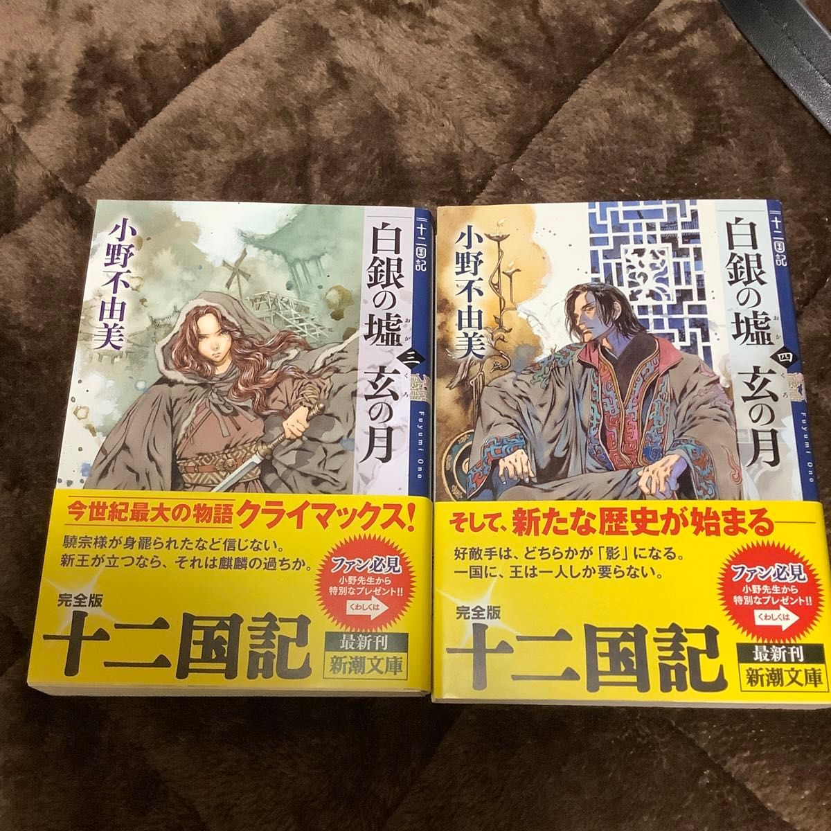 白銀（しろがね）の墟　玄（くろ）の月　第3.４巻 （新潮文庫　お－３７－６５　十二国記） 小野不由美／著