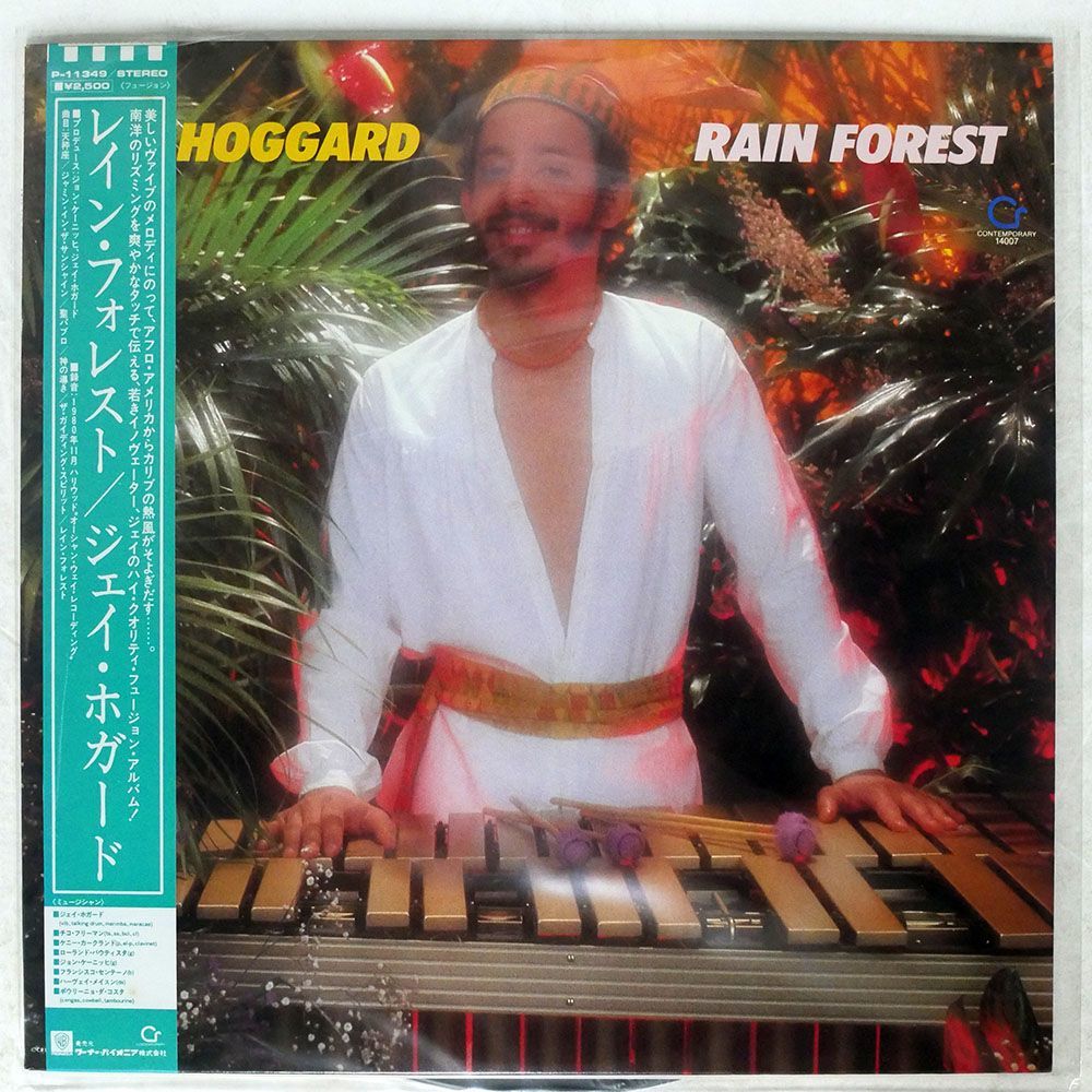 帯付き JAY HOGGARD/RAIN FOREST/WARNER-PIONEER CORPORATION P11349 LP_画像1