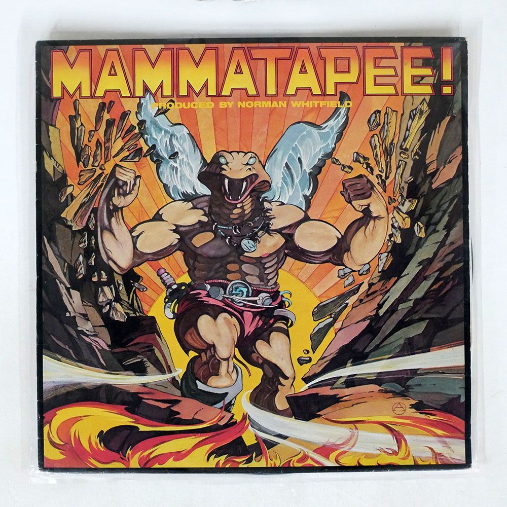 MAMMATAPEE/SAME/WHITFIELD WHK3171 LP_画像1