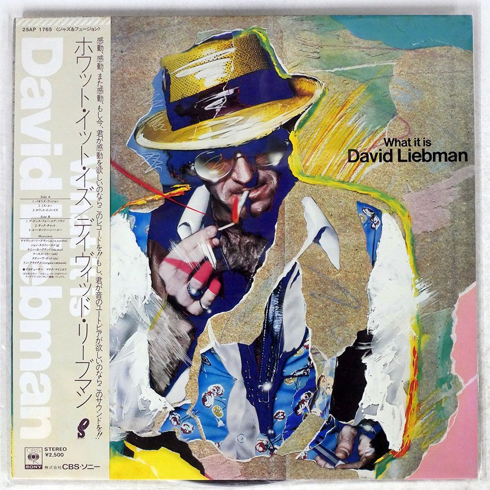 帯付き DAVID LIEBMAN/WHAT IT IS/OPENSKYE 25AP1765 LP_画像1