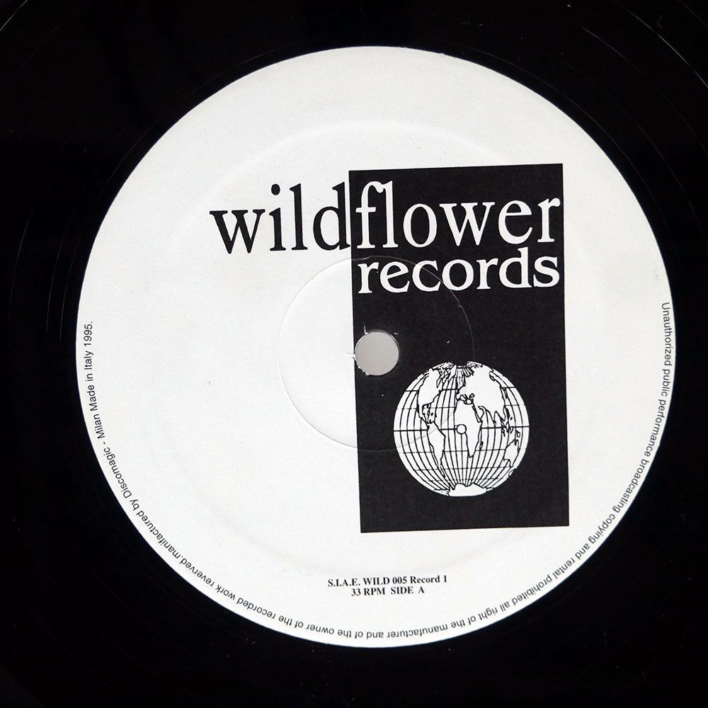 ALEX NERI/PLANET FUNK/WILDFLOWER WILD005 12の画像2