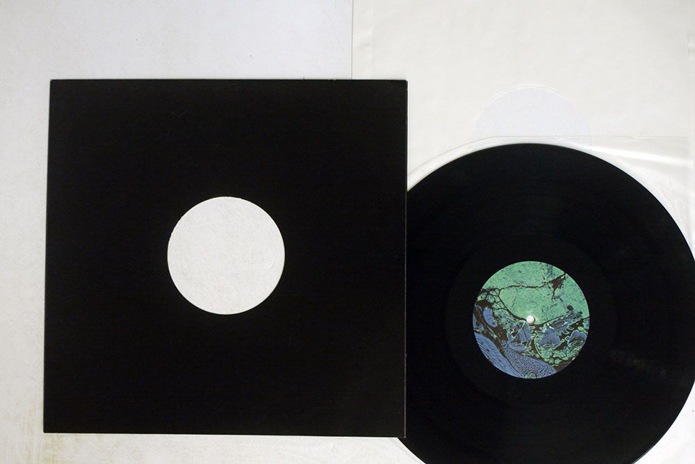 PRIS/UNBEKNOWN TO US/RESIN RSN 001 12の画像1