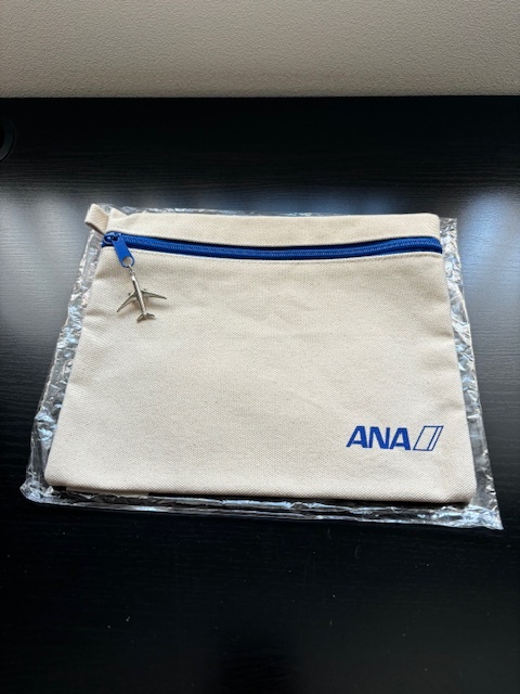 ★レア　新品未使用　非売品★ANA　全日空　ポーチ　クラッチバッグ　バッグ ノベルティ ボーイング 787　大_画像2