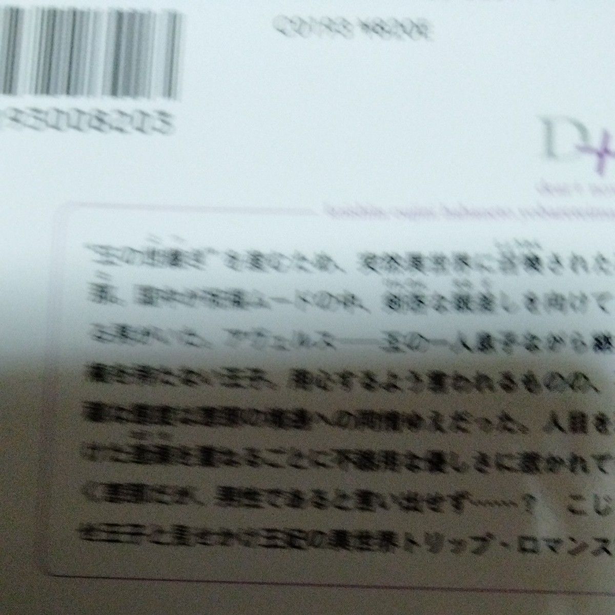 恋した王子に義母上と呼ばれています （新書館ディアプラス文庫　５９６） 渡海奈穂／著