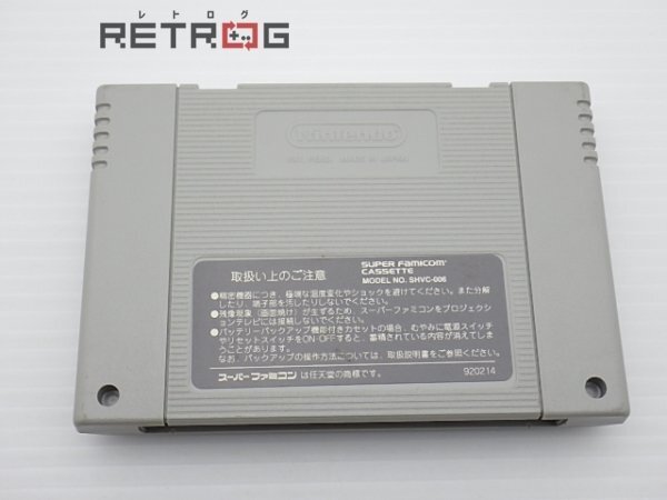 レディストーカー　過去からの挑戦 スーパーファミコン SFC スーファミ_画像4