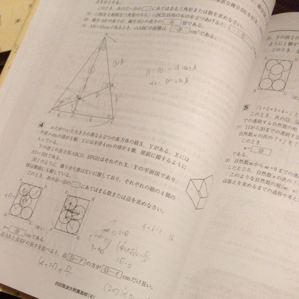 2023年度 筑波大学附属高等学校　５年間スーパー過去問　声の教育社