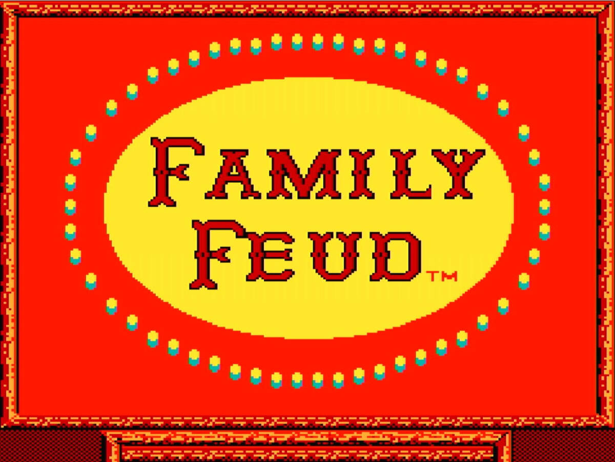 ★中古NES FAMILY FEUD ファミリーフュード カナダ版_画像5