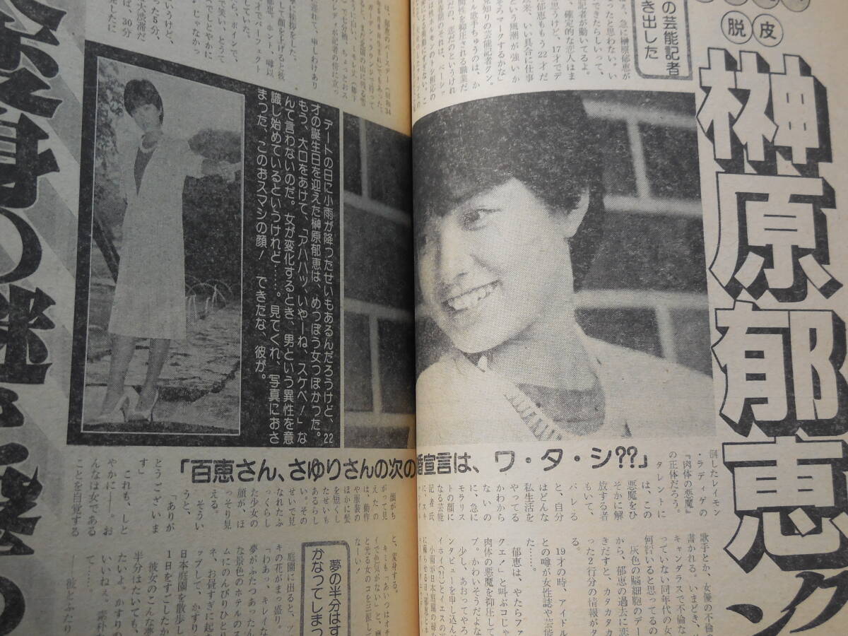 週刊プレイボーイ　1981.6.2 柏原芳恵 15歳/亜湖/登静江/桑田佳祐/RCサクセション/メアリー岩本/榊原郁恵/豊島ひとみ_画像7