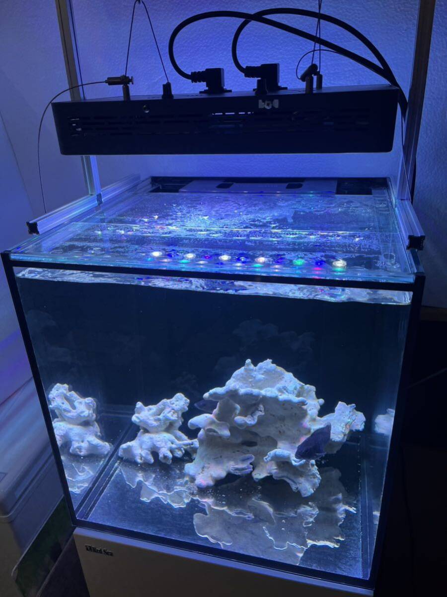  Lee мех nano переполнение аквариум в комплекте ... самовывоз доставка необходимо консультации 