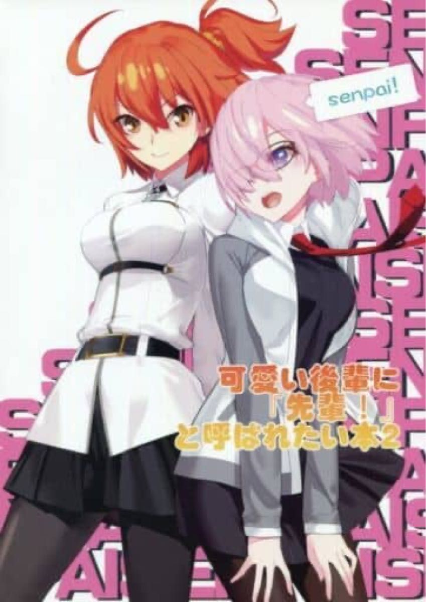 【２点セット】一般同人誌　<<Fate>> 可愛い後輩に『先輩!』と呼ばれたい本 / はぽい処　FGO マシュ Fate