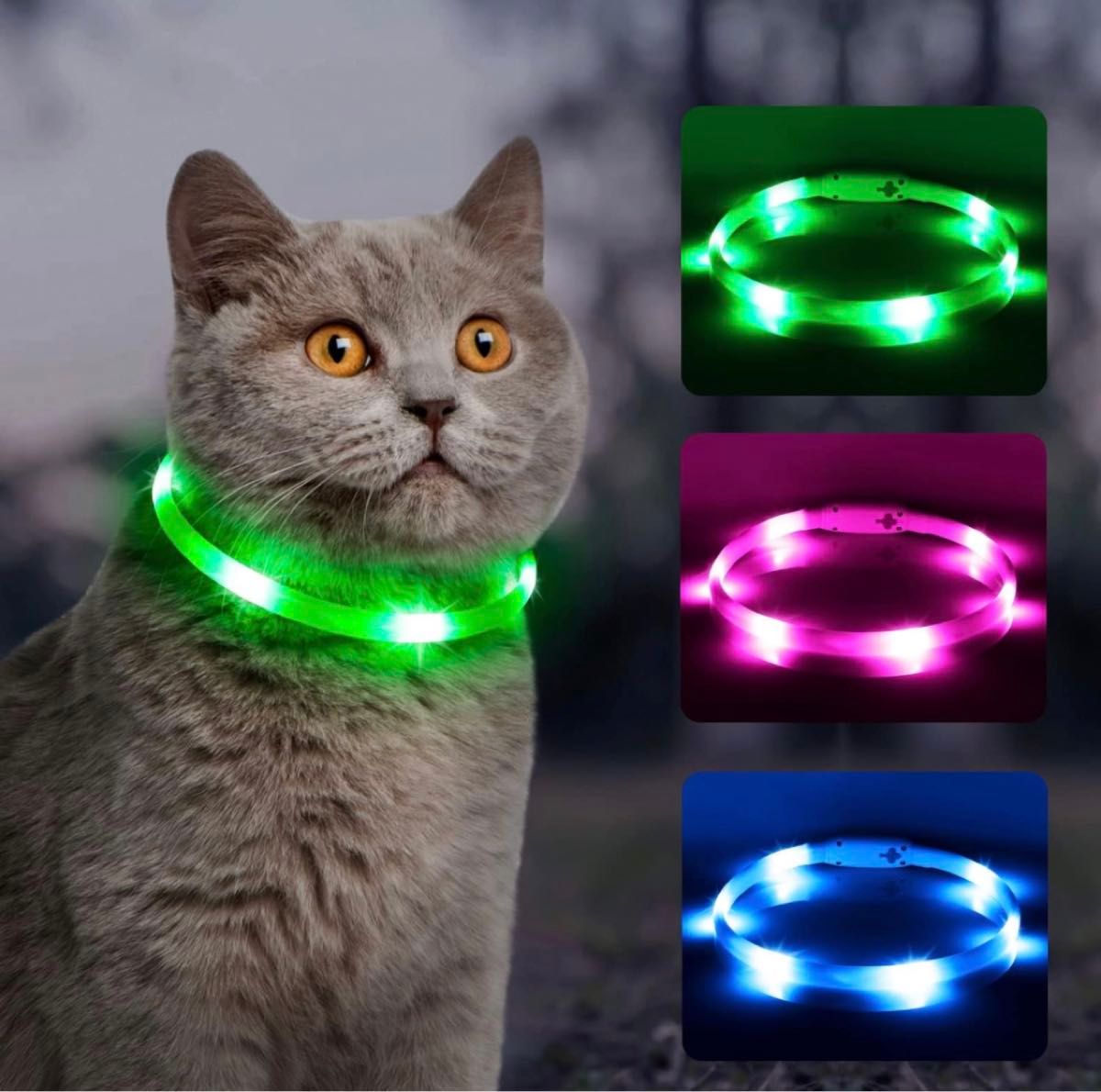 光る犬の首輪 LED 充電式 夜　首輪ライト 小さな犬