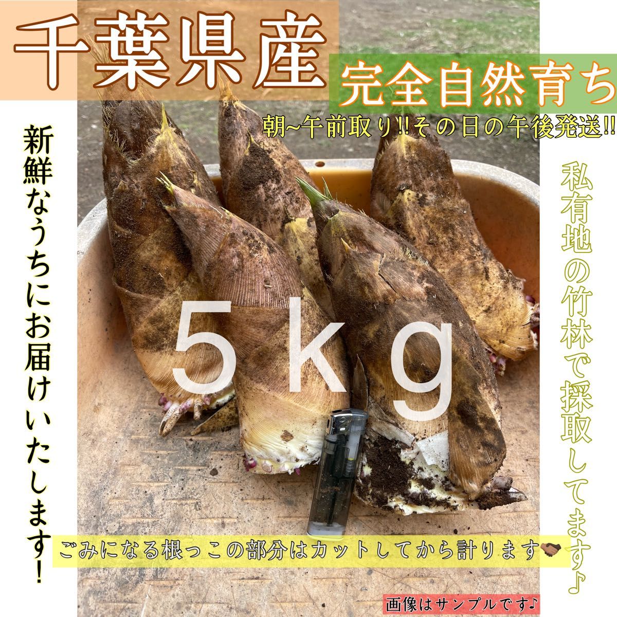 生たけのこ〟旬の絶品 タケノコ 5kg 千葉県産 超数量限定|Yahoo 生たけのこ〟旬の絶品 タケノコ 5kg 千葉県産 超数量限定|Yahoo