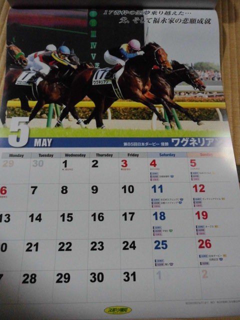 ★☆競馬★スポーツ報知★２０１９年壁掛けカレンダー★未展示品★未使用です！☆★_画像7