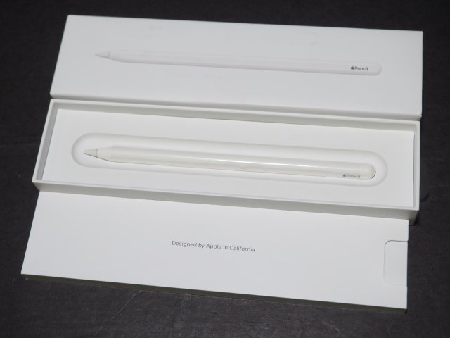 S789【ジャンク品】Apple Pencil 第2世代 A2051 PU8F2J/A アップル ペンシル 2nd Generation_画像1