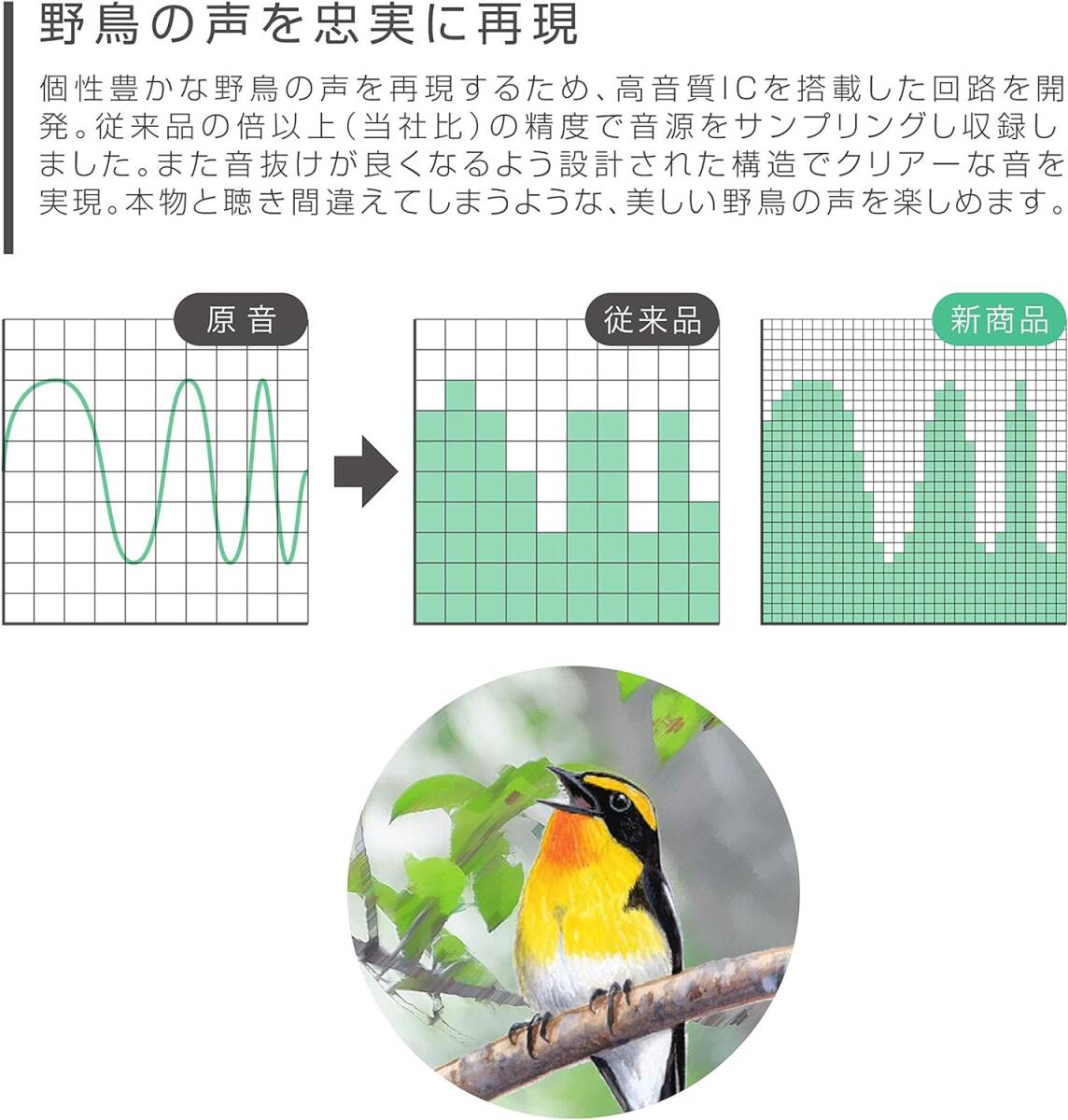 ★即決 送料無料 日本野鳥の会 目覚まし時計 アナログ クロック 鳥の声アラーム音 16+1種 鳥のさえずり 音声 スイープ秒針 連続秒針 自然音_画像5