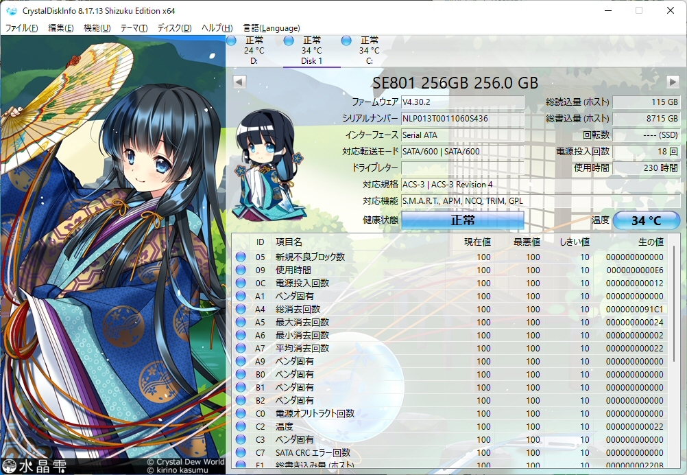 【動作確認済】使用時間少な目 高速SSD 256GB S-ATA SUNEAST SE801_画像3