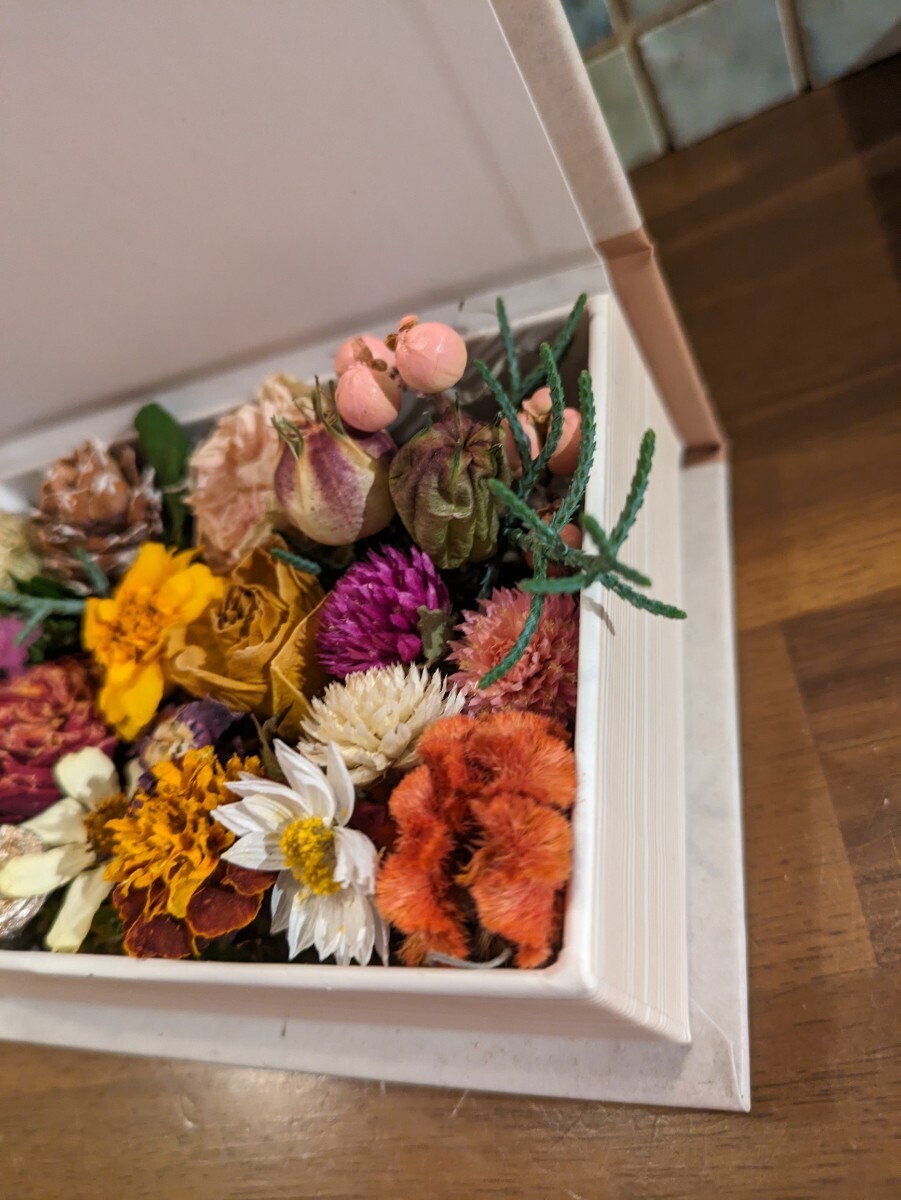  dry flower * spring. box arrangement * Mini rose Marie Gold flower ornamental hairpin ke Japanese huchen America -na in present .!