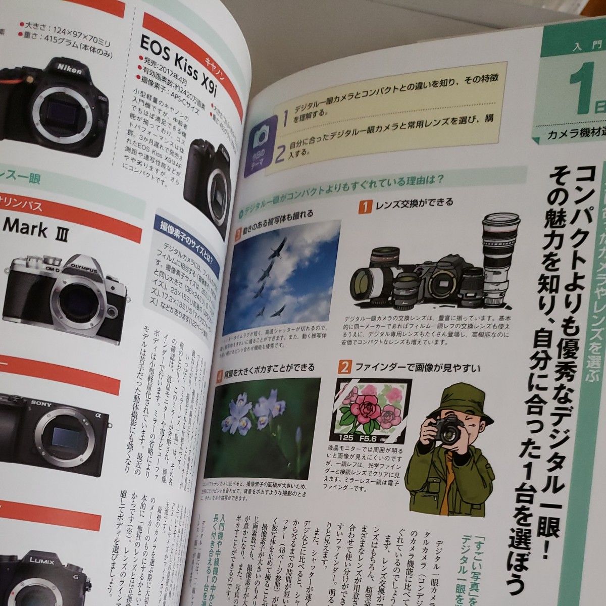デジタル一眼カメラ３０日でマスター　１日１テーマで確実にステップアップ！ （Ｇａｋｋｅｎ　Ｃａｍｅｒａ　Ｍｏｏｋ） 森村進／著