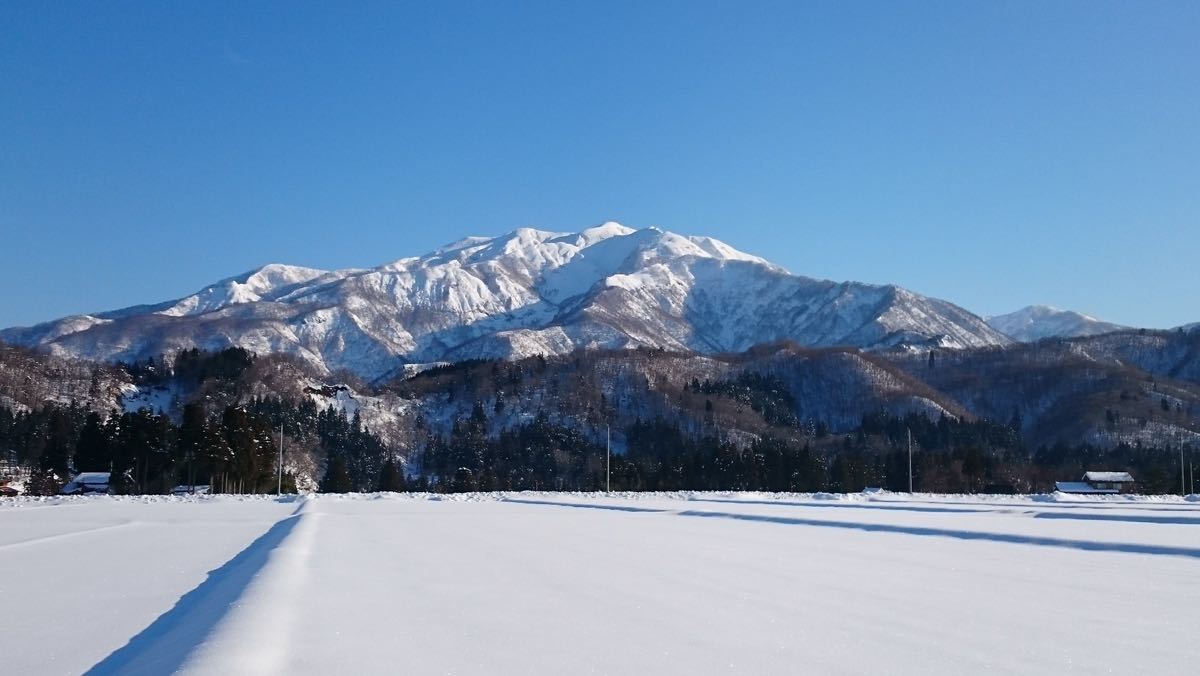 令和5年産 新潟産ミルキークイーン白米10kg 新潟県三条市旧しただ村産 冷めてもモチモチ美味しいミルキーをおにぎりやお弁当に？の画像10