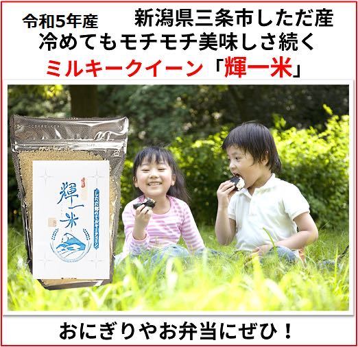 新米お試し　新潟産ミルキークイーン白米900g 新潟県三条市旧しただ村産　ミルキー100% 輝一米　冷めてもモチモチ、おにぎりお弁当などに？_画像1