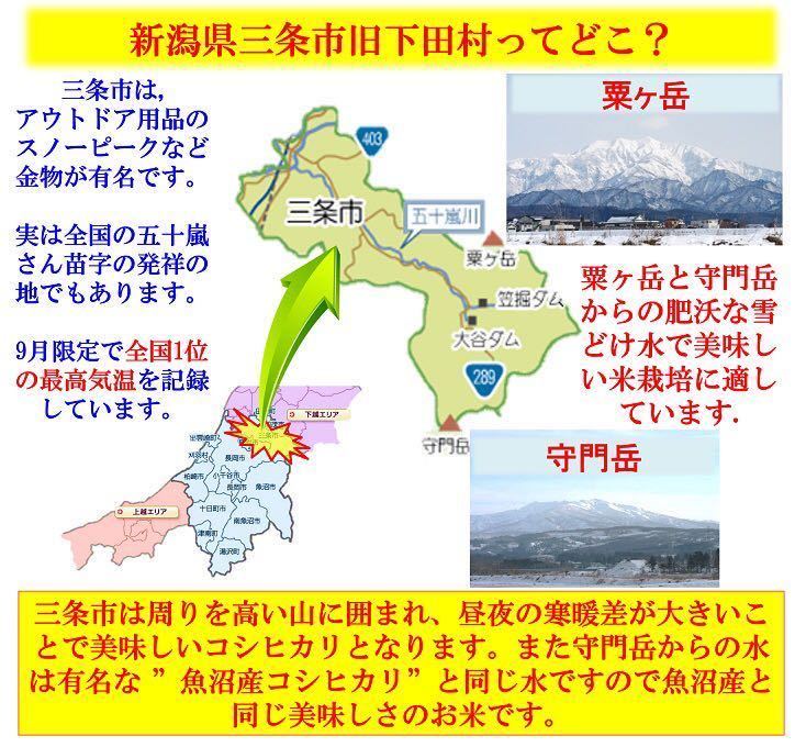 新米お試し　新潟産ミルキークイーン白米900g 新潟県三条市旧しただ村産　ミルキー100% 輝一米　冷めてもモチモチ、おにぎりお弁当などに？_画像2