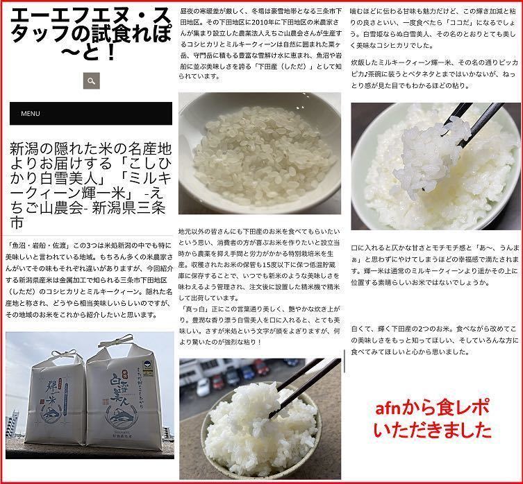 新米お試し　新潟産ミルキークイーン白米900g 新潟県三条市旧しただ村産　ミルキー100% 輝一米　冷めてもモチモチ、おにぎりお弁当などに？_画像7