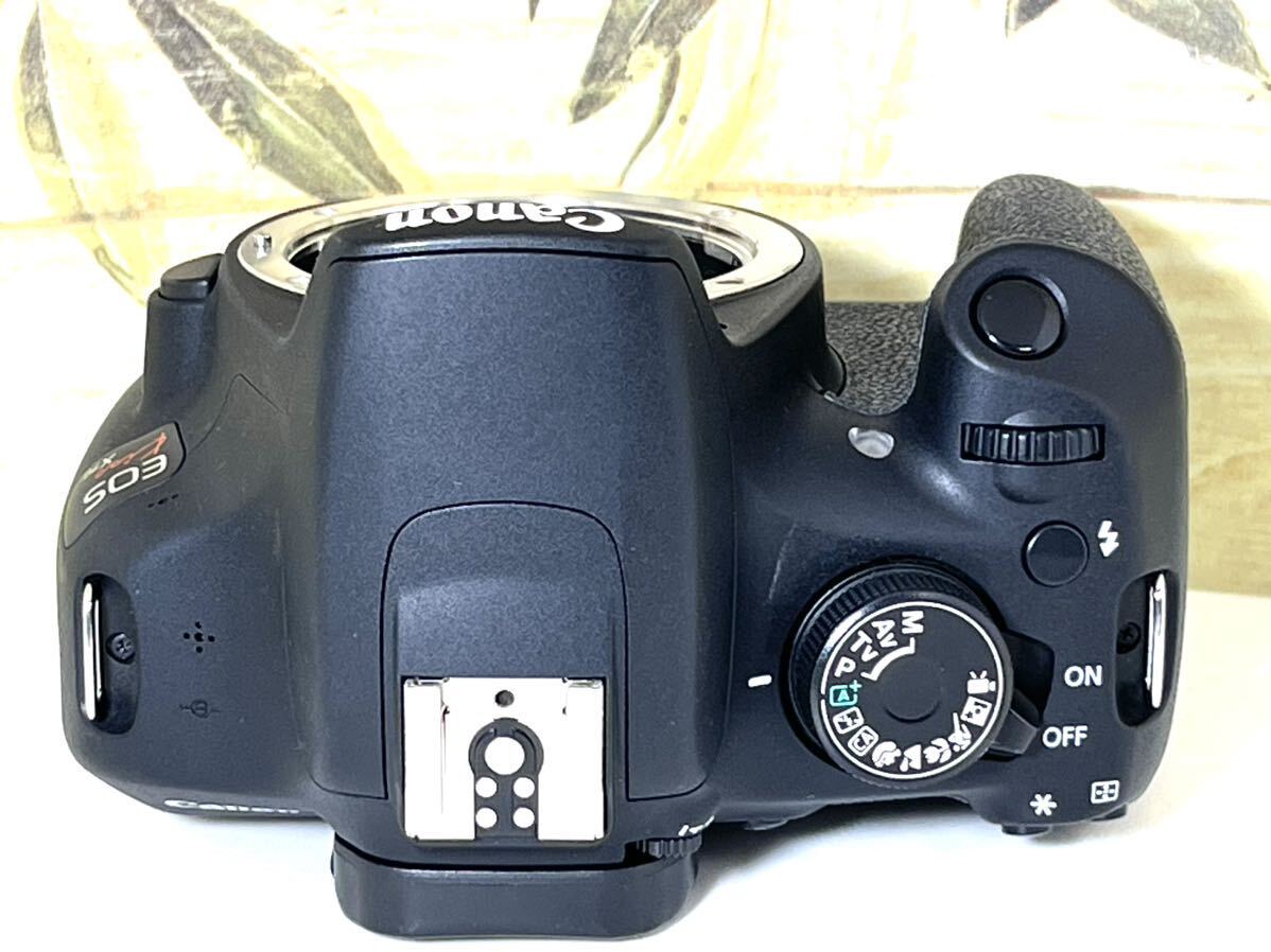 美品 キャノン Canon EOS Kiss X70 Wレンズ 動画撮影 シャッターカウント極少7,800回 重要付属品完備 SDカード付 すぐに撮影できます_画像6