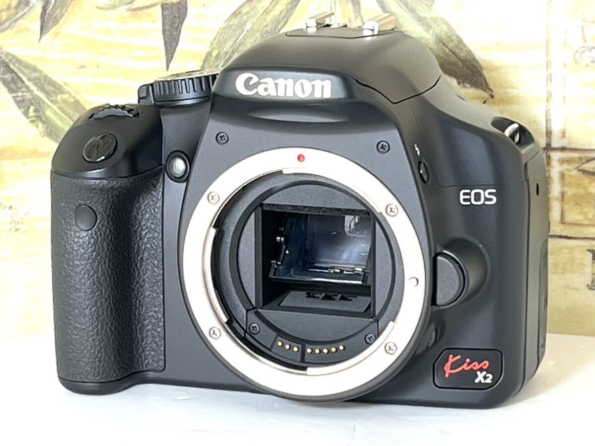 総ショット数新同 293枚 超美品 キャノン Canon EOS Kiss x2 Wレンズ セット USM機能搭載レンズ SDカード付き すぐに撮影出来ますの画像4