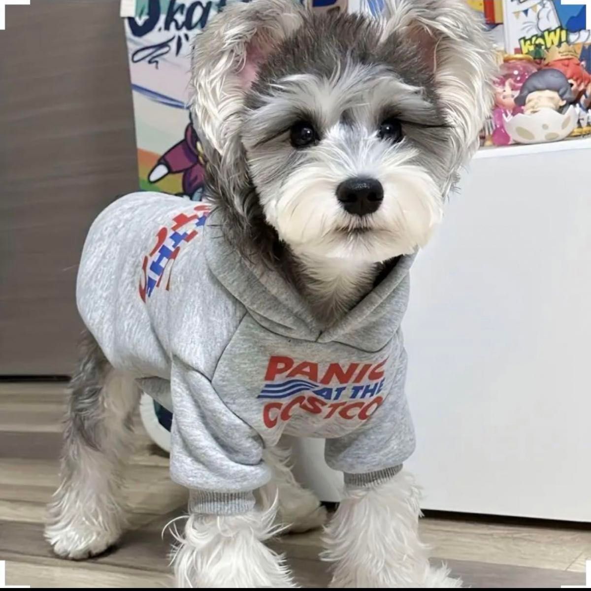 犬服 ドッグウエア パーカー  ペットグッズ