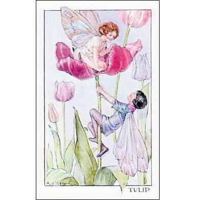 マーガレット・タラント チューリップの妖精 ポストカード イギリス 製 グリーティングカード 絵はがき 妖精_画像1