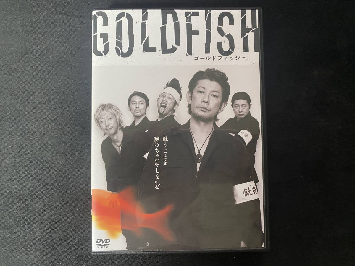 DVD GOLDFISH ゴールドフィッシュ アナーキー　ANARCHY　藤沼伸一　仲野茂　_画像1