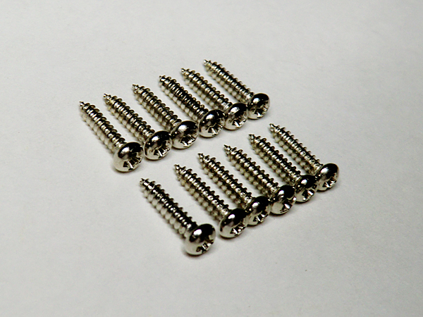 ★☆新品 ペグ用スクリュー クローム 12本セット2.0×10mm ネジ ビス_画像1