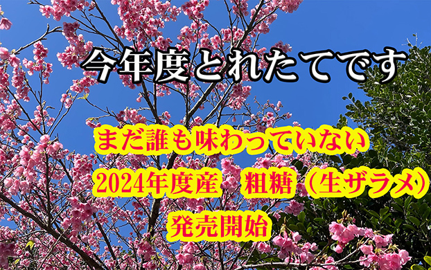 粗糖（生ザラメ）500gx20袋 やさしい味でミネラル豊富（2024年度産）（プレゼント付 喜界島の農家から発送）- 落札累計 364　道の島農園_画像2