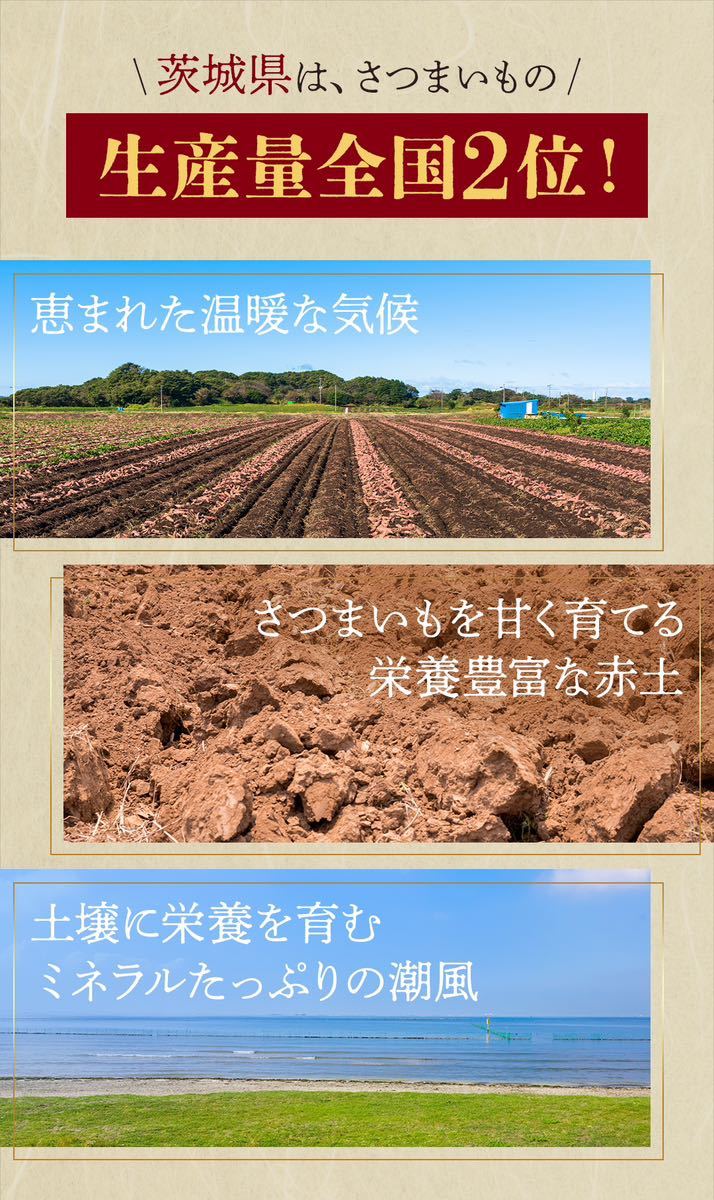 1kg 石焼き芋 熟成紅はるか使用 茨城県産 送料無料 干し芋 ダイエット 国産_画像6