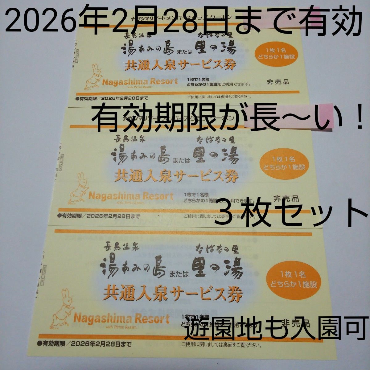 3枚セット 期限なが～い！ 長島温泉 湯あみの島 里の湯 入泉券 ナガシマリゾート 2026年2月28日まで有効 共通入泉サービス